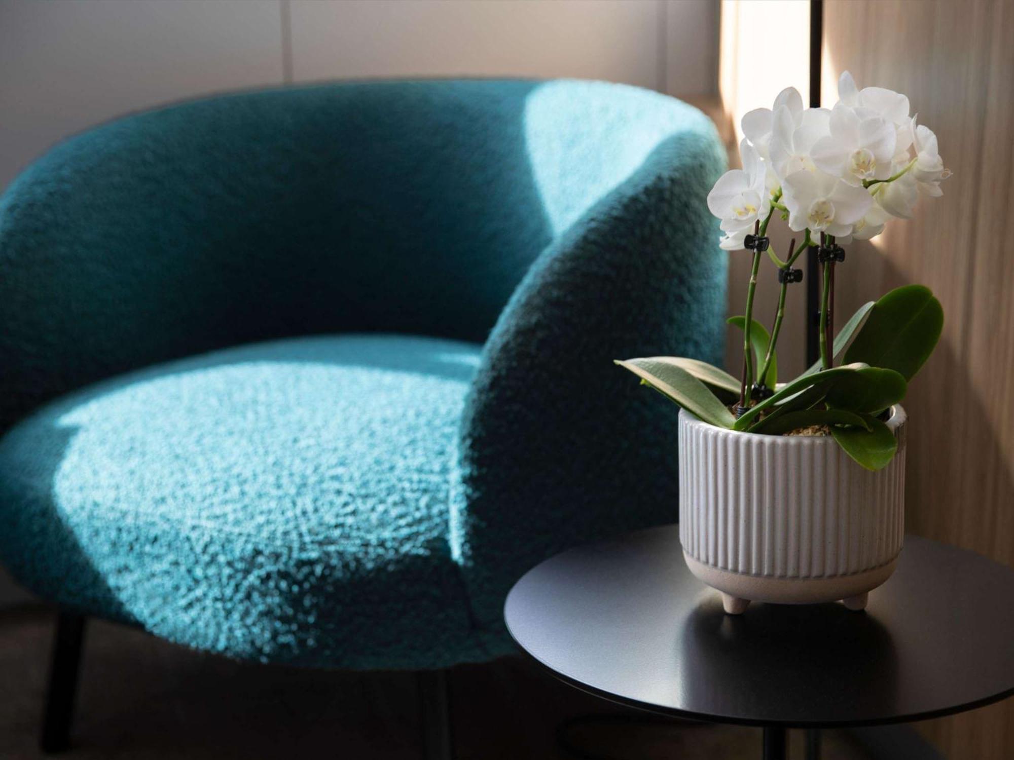 Novotel Sydney City Centre Bagian luar foto